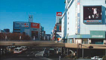 アオバビジョン